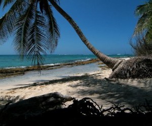 Jhonny Cay San Andres Source: Panoramio by David Pivetti