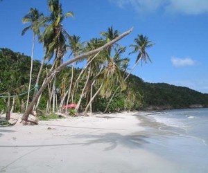 Manzanillo Providencia - Providenciaespasioncom